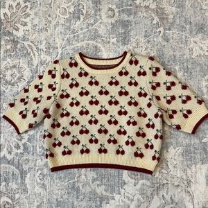Cider Cherry Cropped Knit Sweater